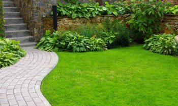 Intégrer des éléments de terrassement dans le design de votre jardin : créer des niveaux et des contours attrayants